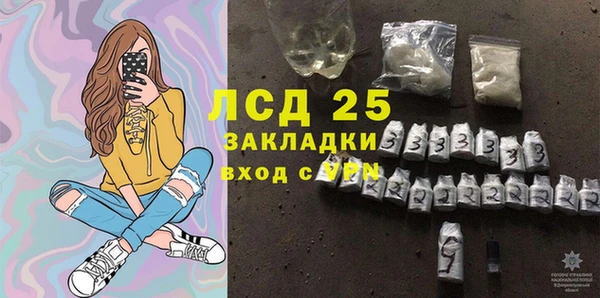 стафф Корсаков