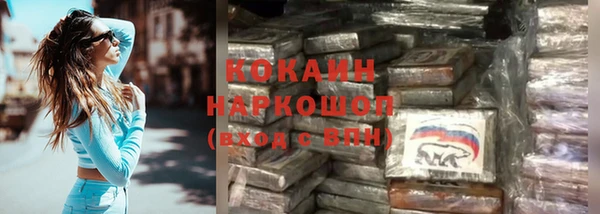 стафф Корсаков