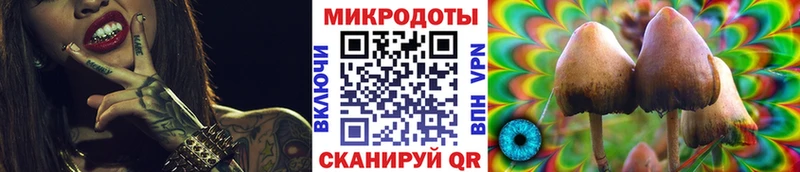Галлюциногенные грибы MAGIC MUSHROOMS  гидра онион  Мамадыш  как найти  